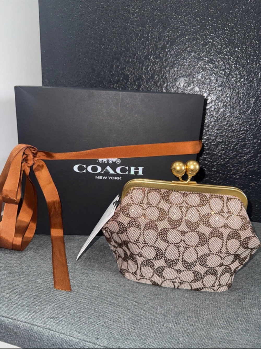 NEW Coach Crystal Signature Kisslock 16